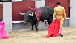 podemos-pide-se-cierren-las-puertas-de-la-plaza-de-toros-para-evitar-accidentes