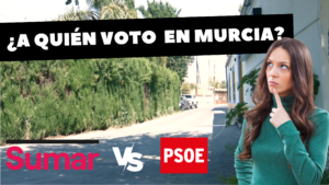 votacion-consejo-ciudadano-autonomico-cam