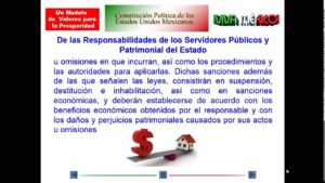 articulo-113-de-la-constitucion-todo-lo-que-necesitas-saber