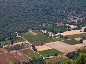 concentracion-parcelaria-en-asturias-potenciando-la-agricultura-y-los-montes-en-www-asturias-es