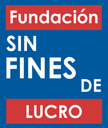 conoce-los-estatutos-de-las-fundaciones-sin-fines-de-lucro-todo-lo-que-necesitas-saber