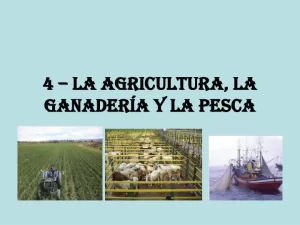 departamento-de-agricultura-ganaderia-pesca-y-alimentacion-todo-lo-que-necesitas-saber