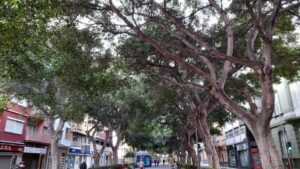 descubre-la-encantadora-rambla-de-pulido-en-santa-cruz-de-tenerife