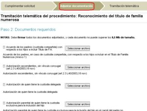 renovacion-de-la-tarjeta-de-familia-numerosa-en-canarias-todo-lo-que-debes-saber