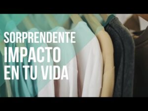 r.i.p.a.-significado