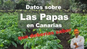 venta-de-papas-en-tenerife
