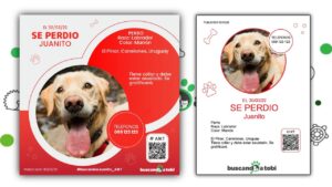 plantilla-cartel-se-busca