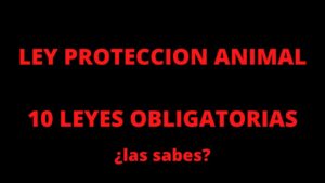 leyes-de-proteccion-animal