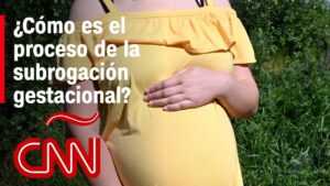 vientre-de-alquiler-espana