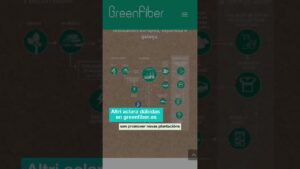 altri palas de rei 2025