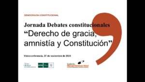 amnistia y constitucion