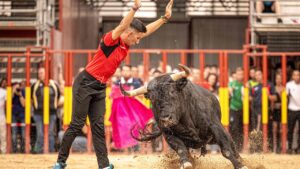 arganda del rey toros