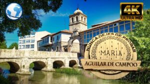 bandera de aguilar de campoo