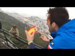 bandera gibraltar español