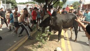 corrida de toros en granada