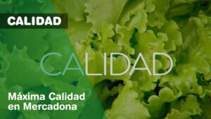 mercadona publicidad