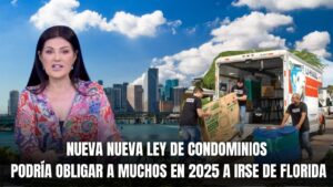 nueva ley de familia 2025