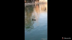 parking el retiro madrid