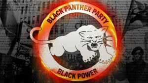 partido pantera negra