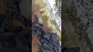 pascual soria martinez