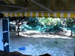 pisos de bancos sant boi